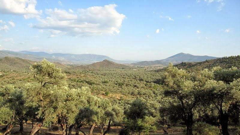 Milas'a 48 MWe Kapasiteli GES ve 2 Milyar TL'lik Dev Yatırım İçin ÇED Olumlu Kararı 2